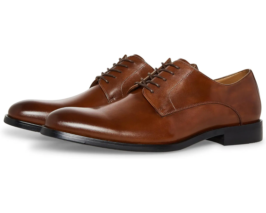 steve madden sydney oxford Brown