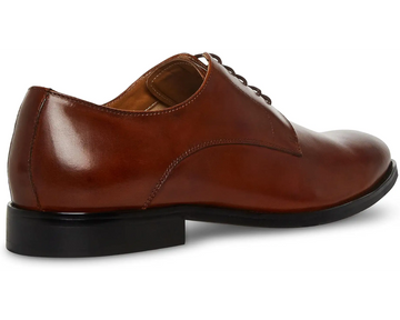 steve madden sydney oxford Brown